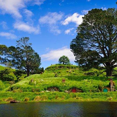 Day Tour Hobbiton + Rotorua from Auckland in Luxury Minibus 