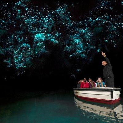 Rotorua to Auckland Afternoon Transfer with Waitomo Glow Worms