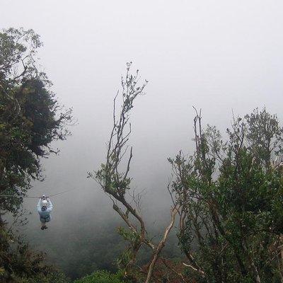 Zipline and Hanging Bridges Combo Tour in Monteverde Cloud Forest