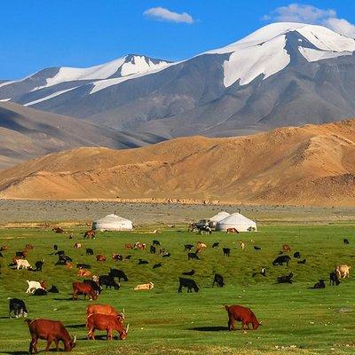 Best of Mongolian tour 7 days 