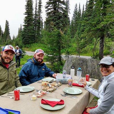 Mount Rainier National Park Luxury Small-Group Day Tour with Lunch