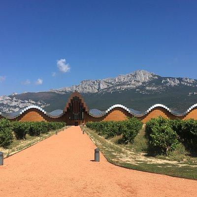 Semi-Private La Rioja Tour of 3 Premium Wineries from Bilbao