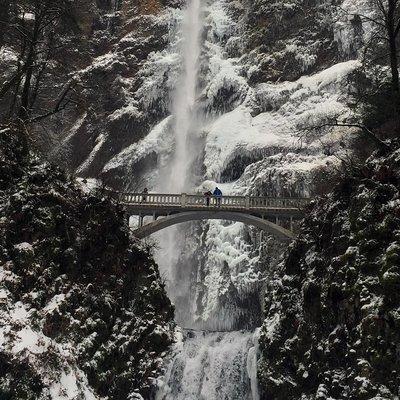 Explore Columbia River Gorge Half-Day Small-Group Tour 
