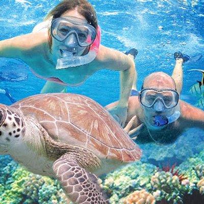 Ultimate Shore Snorkeling Adventure on Kauai