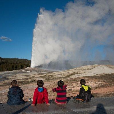 Private Yellowstone Old Faithful and Lower Loop Tour