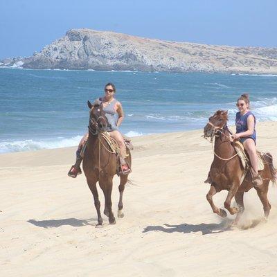 Cabo White Sand Horseback Riding Tour and Tequila Tasting 