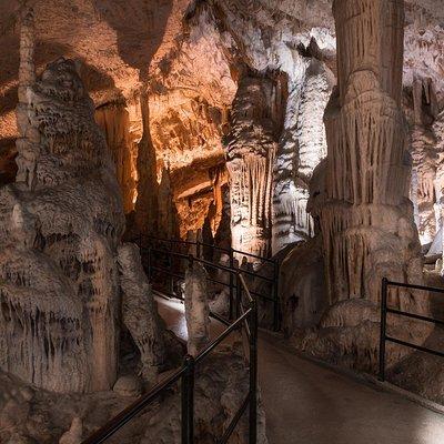 Half day tour to Postojna cave& - Private tour from Koper/Trieste/Piran