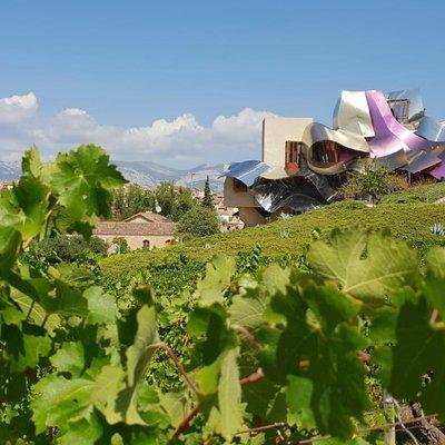 Rioja Wine Tour: 2 Wineries From Bilbao