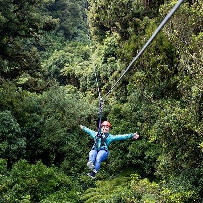 Ziplining Forest Adventure - The Original Canopy Tour Rotorua