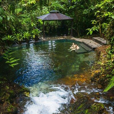 Sensoria: Luxury Rainforest Land of Senses Walking and Thermals Tour