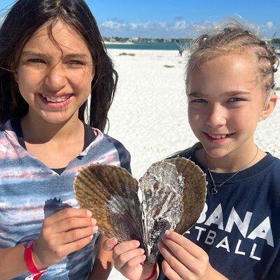 Barrier Island Shelling Tour