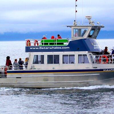 Whale-Watching Cruise with Expert Naturalists