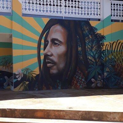 Bob Marley Nine Mile Sightseeing Tour from Ocho Rios