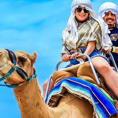 Camel Ride and UTV Combo Adventure, with Tequila Tasting