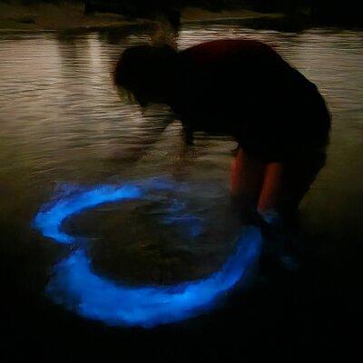Orlando Bioluminescence Kayak and Swim Adventure