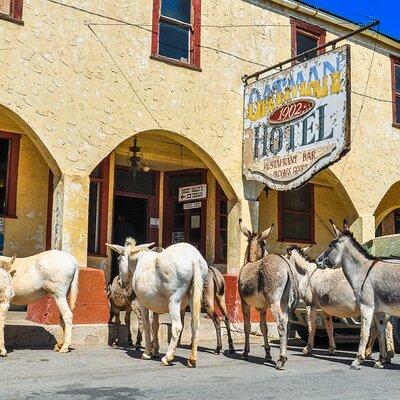 Oatman Mining Camp, Burros, Museums/Scenic RT66 Tour Small Grp 