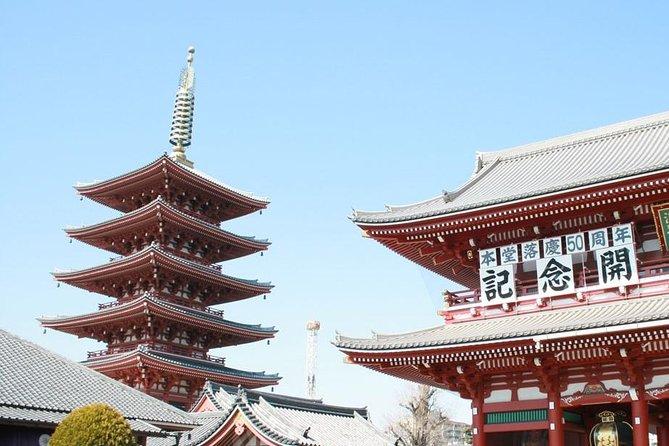 Tokyo private tour using subway: Discover traditional and modern Japan!