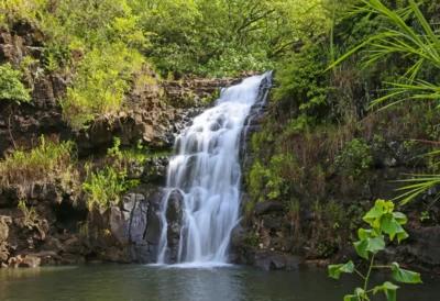 Best Waterfalls in Oahu
