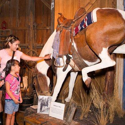 The Buckhorn Saloon & Museum and Texas Ranger Museum Admission