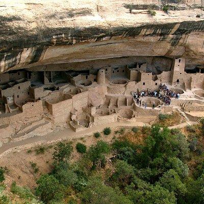 700 Year Tour - Half Day Mesa Verde Cultural Tour