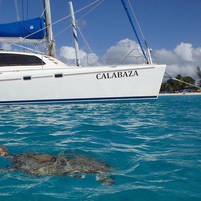 5-Hour Small-Group Catamaran Cruise from Bridgetown with Lunch