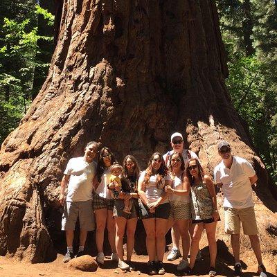 Off-Road Giant Sequoia 4x4 Tour