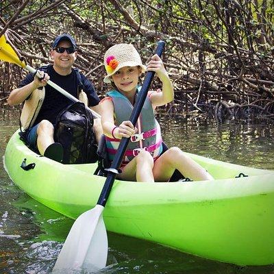 Fully Guided Kayaking Backwater Manatee and Dolphin Tour