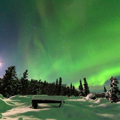 Arctic Circle and Northern Lights Tour from Fairbanks