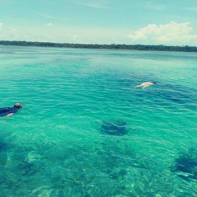 Blue hole snorkeling, and turtle park