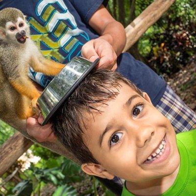 Monkeyland and Plantation Safari Tour from Punta Cana