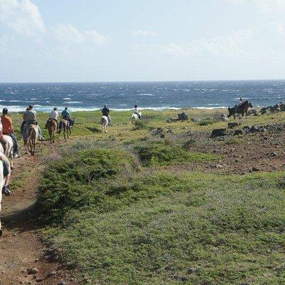 Aruba Horseback Riding Tour to Hidden Lagoon