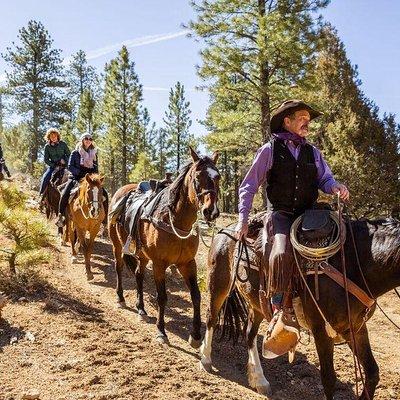 Ruby's Horseback Adventures Utah Thunder Mt. 4 Hour Ride