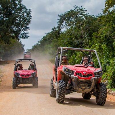 Jungle Buggy Tour from Playa del Carmen Including Cenote Swim