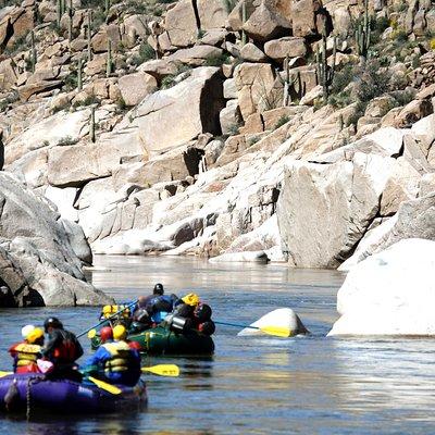 Wilderness Salt River Raft Trip