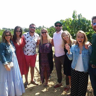 Small-Group Wine Country Tour from San Francisco with Tastings