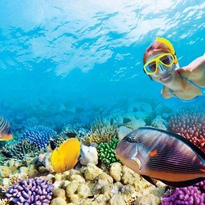 Full-Day Key West Tour and Coral Reef Snorkeling with Open Bar