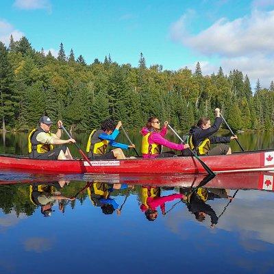 6 Hour Algonquin Park Canoe Trip