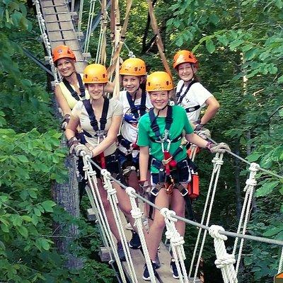 Fully Guided Zipline Canopy Tour through Kentucky River Palisades 