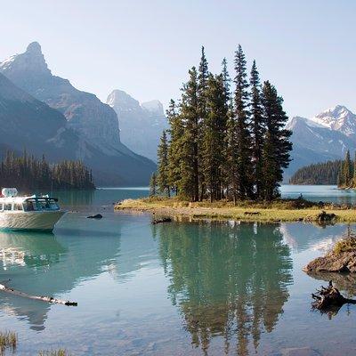 5.5-Hour Jasper Wildlife and Waterfalls Tour with Maligne Lake Cruise from Jasper