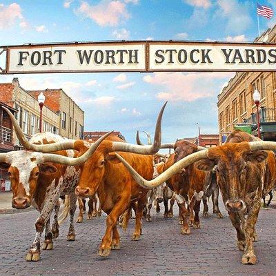 Fort Worth Highlights Tour