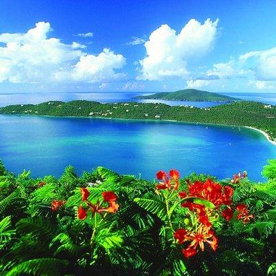 Paradise Taxi & Tours USVI - St. Thomas, Virgin Islands- Island Scenic Tour
