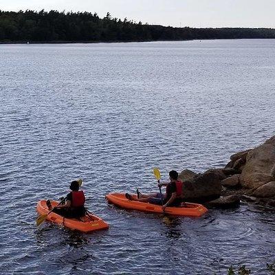 Adult Single Kayak Rental