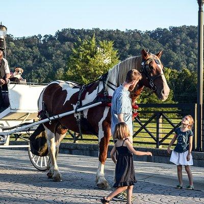 Private Chattanooga Horse & Carriage Tour
