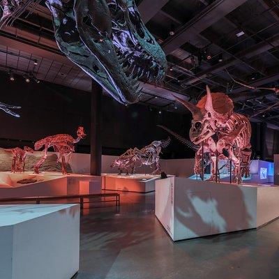 Houston Museum of Natural Science General Admission