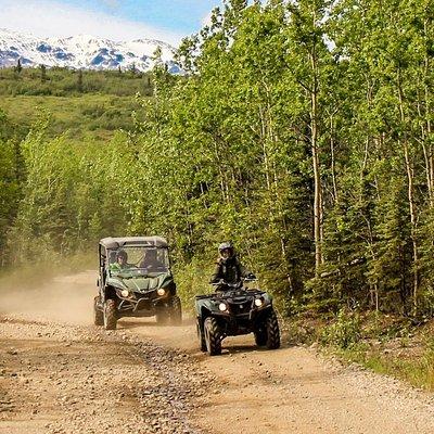 2.5-Hour Denali Wilderness ATV Adventure Tour