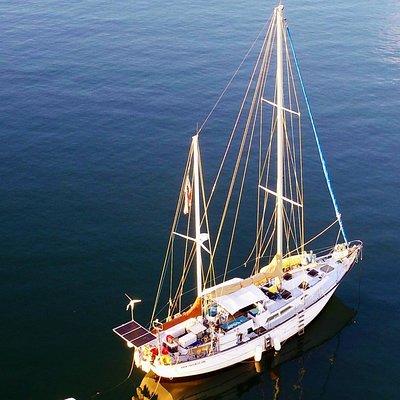 6 Hour Sailing Tour of Vineyard Haven Harbor and Sound