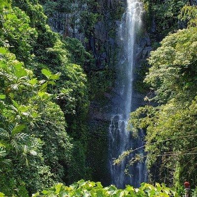 Road to Hana Adventure in Maui- Private - Just for Your Group