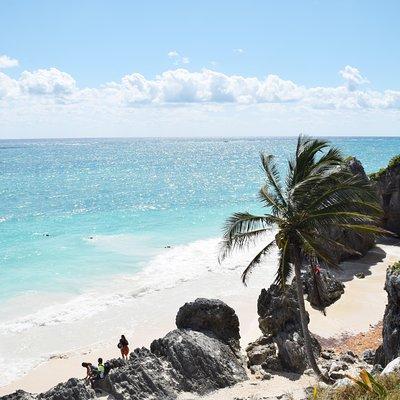 Tulum Ruins, Turtles in Akumal and Cenote tour