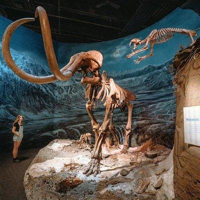 Dinosaur World 1 Day: Drumheller-Badland-Hoodoo-Mine National Historic 