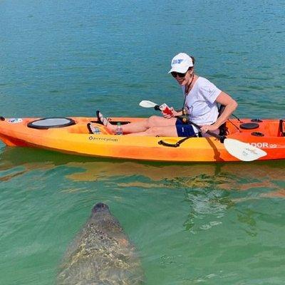 Sarasota Guided Mangrove Tunnel Kayak Tour